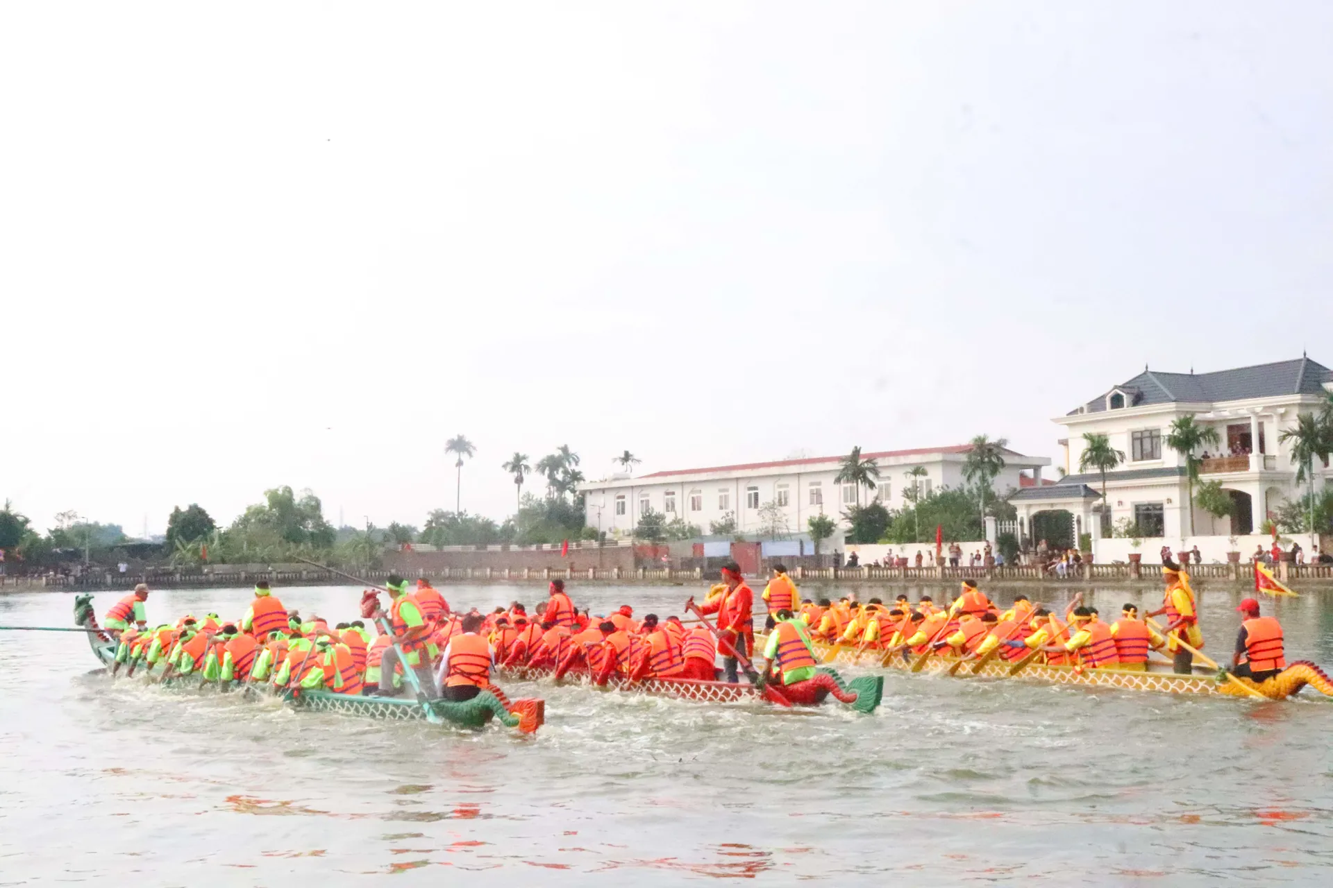 Hình ảnh 6
