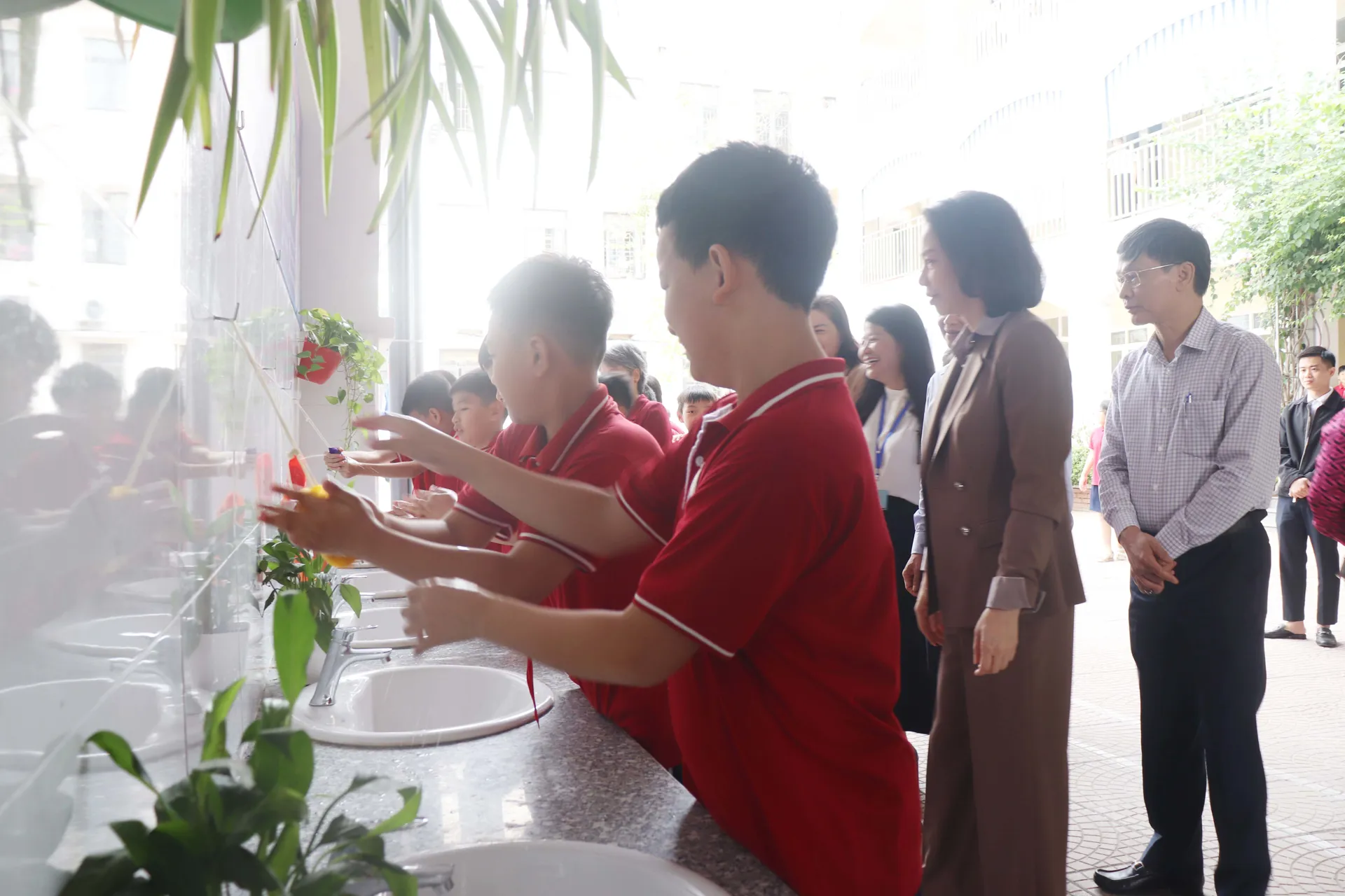 Hình ảnh 9