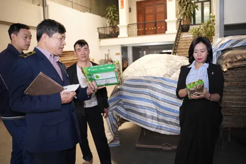 Hà Nội kiểm tra đột xuất cơ sở sản xuất miến và hàng phở dịp Tết 2026