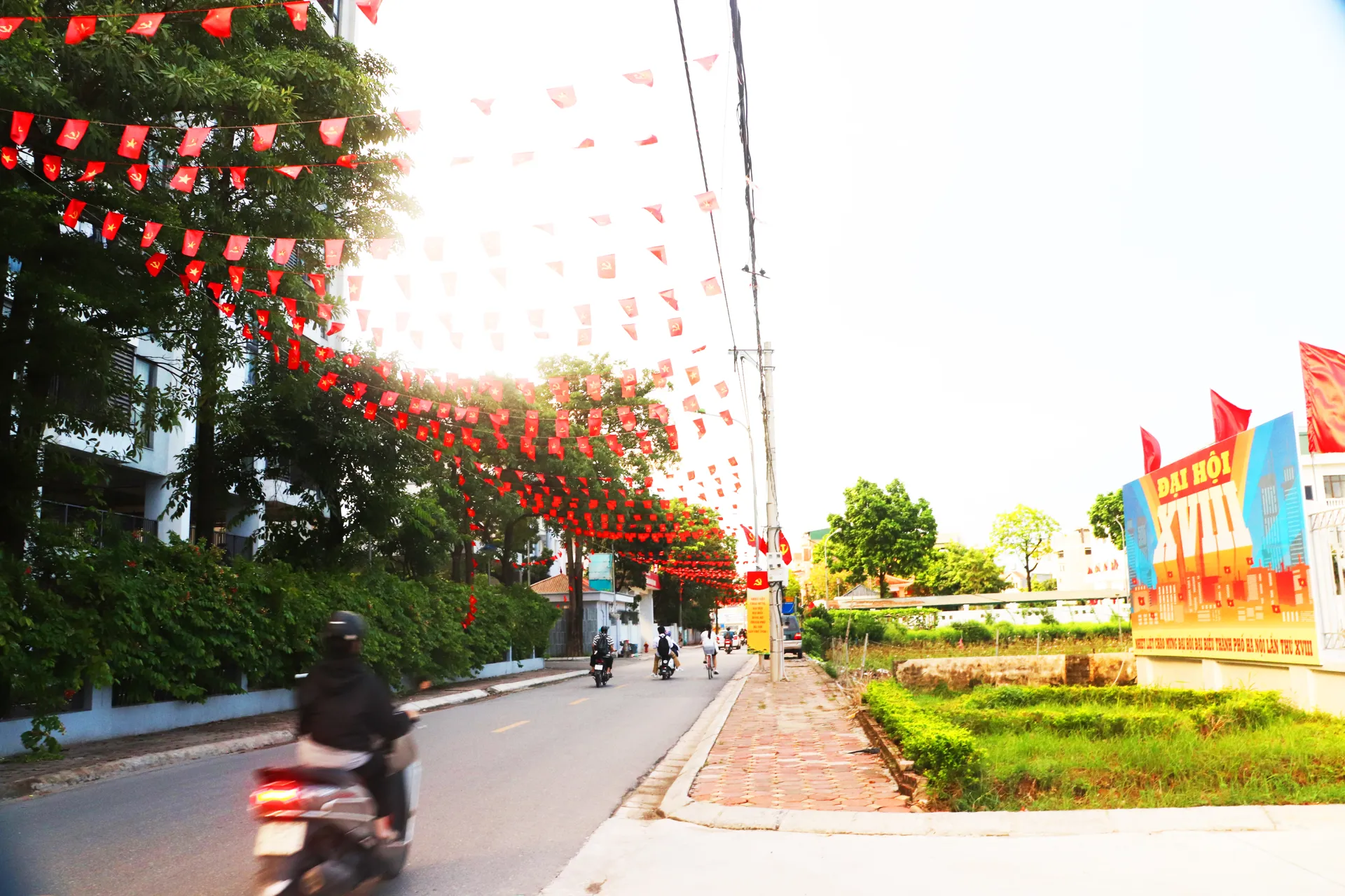 Hình ảnh 11