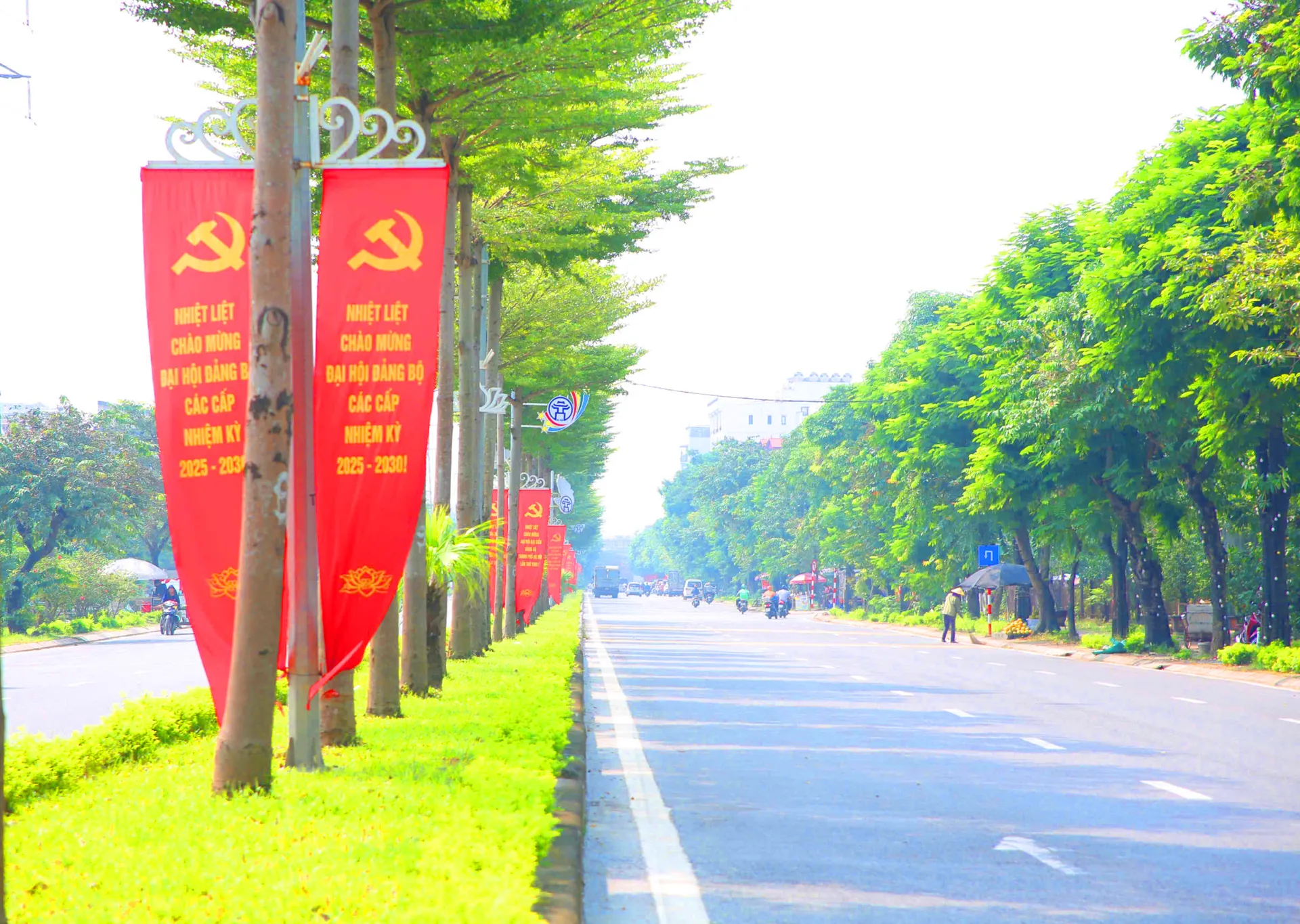 Hình ảnh 7