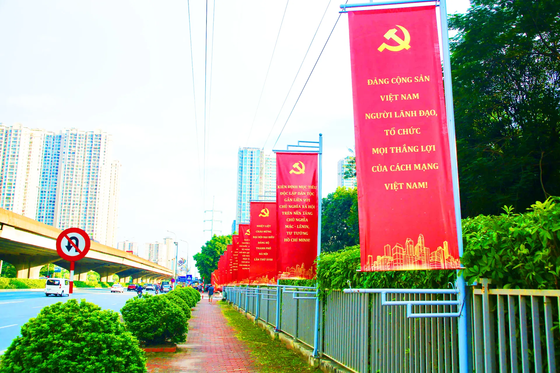 Hình ảnh 6