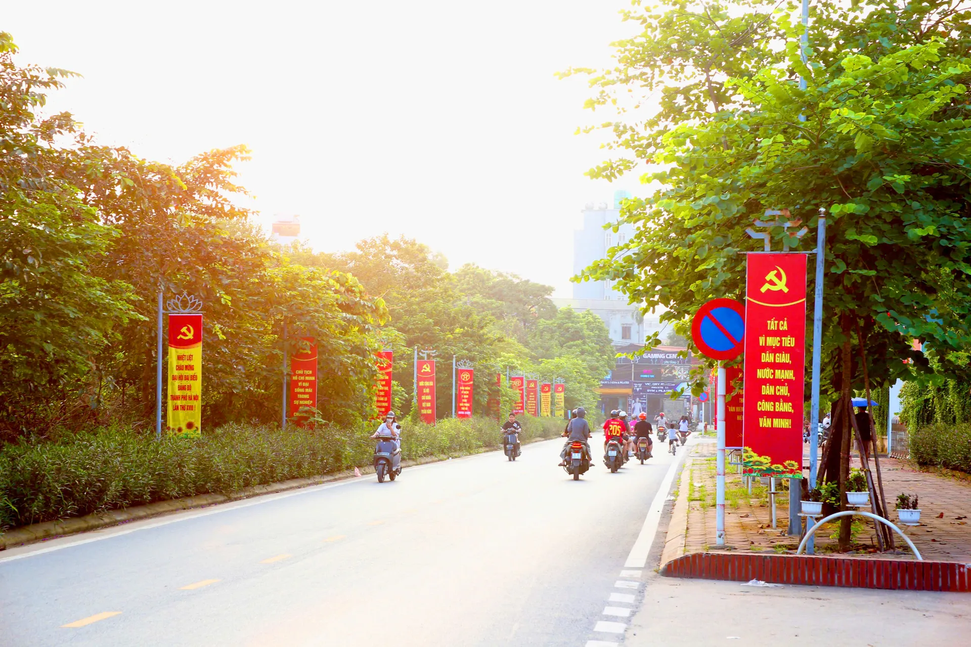 Hình ảnh 8