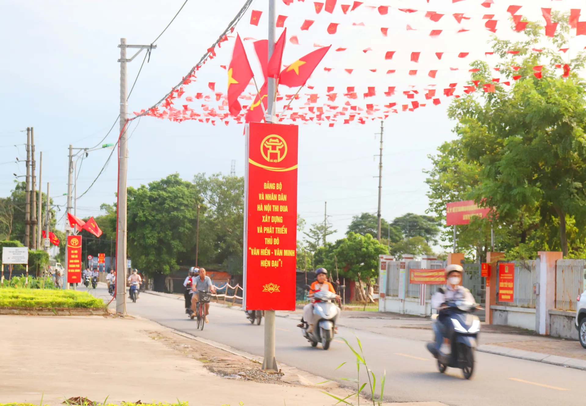 Hình ảnh 12