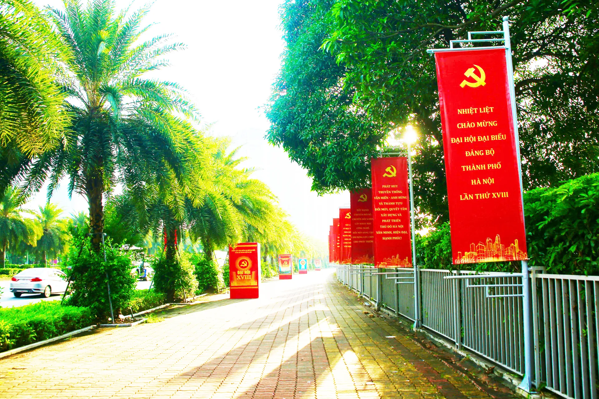 Hình ảnh 1