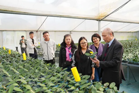 Hội Nhà báo TP Hà Nội tổ chức chuyến đi thực tế tại xã Đan Phượng và Ô Diên