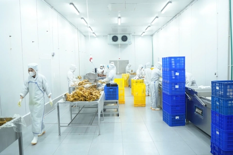 Nghiêm túc khắc phục các lỗi vi phạm an toàn thực phẩm