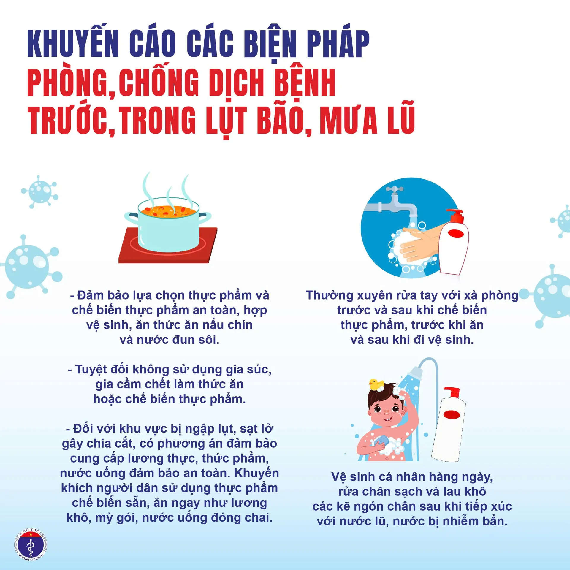 Hình ảnh 1