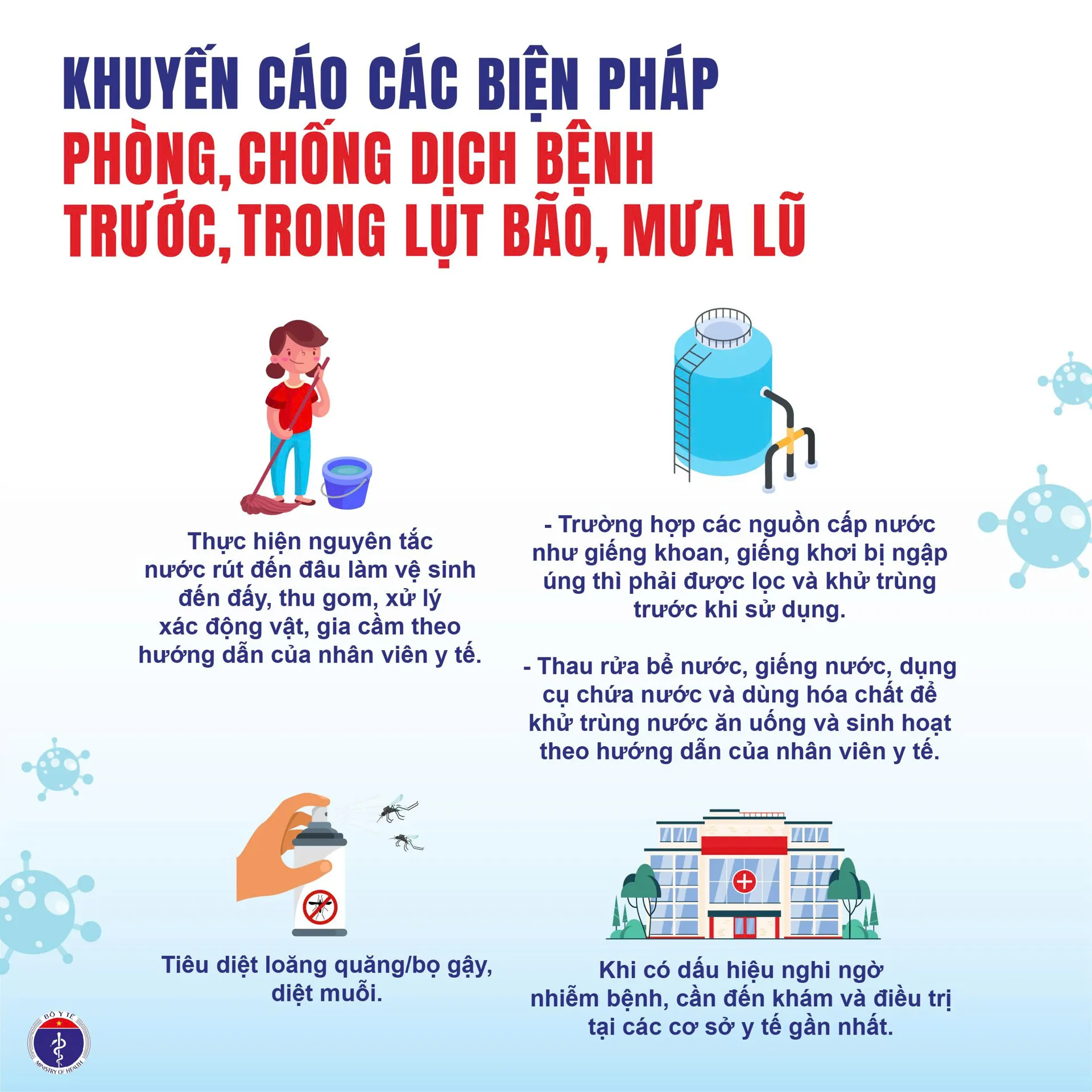 Hình ảnh 2