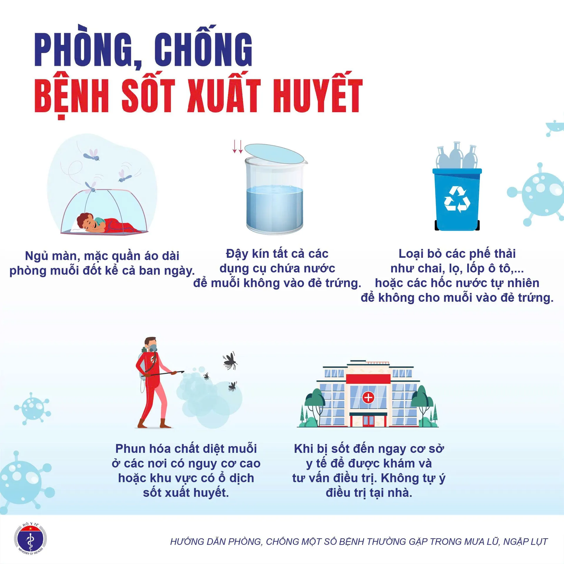 Hình ảnh 3