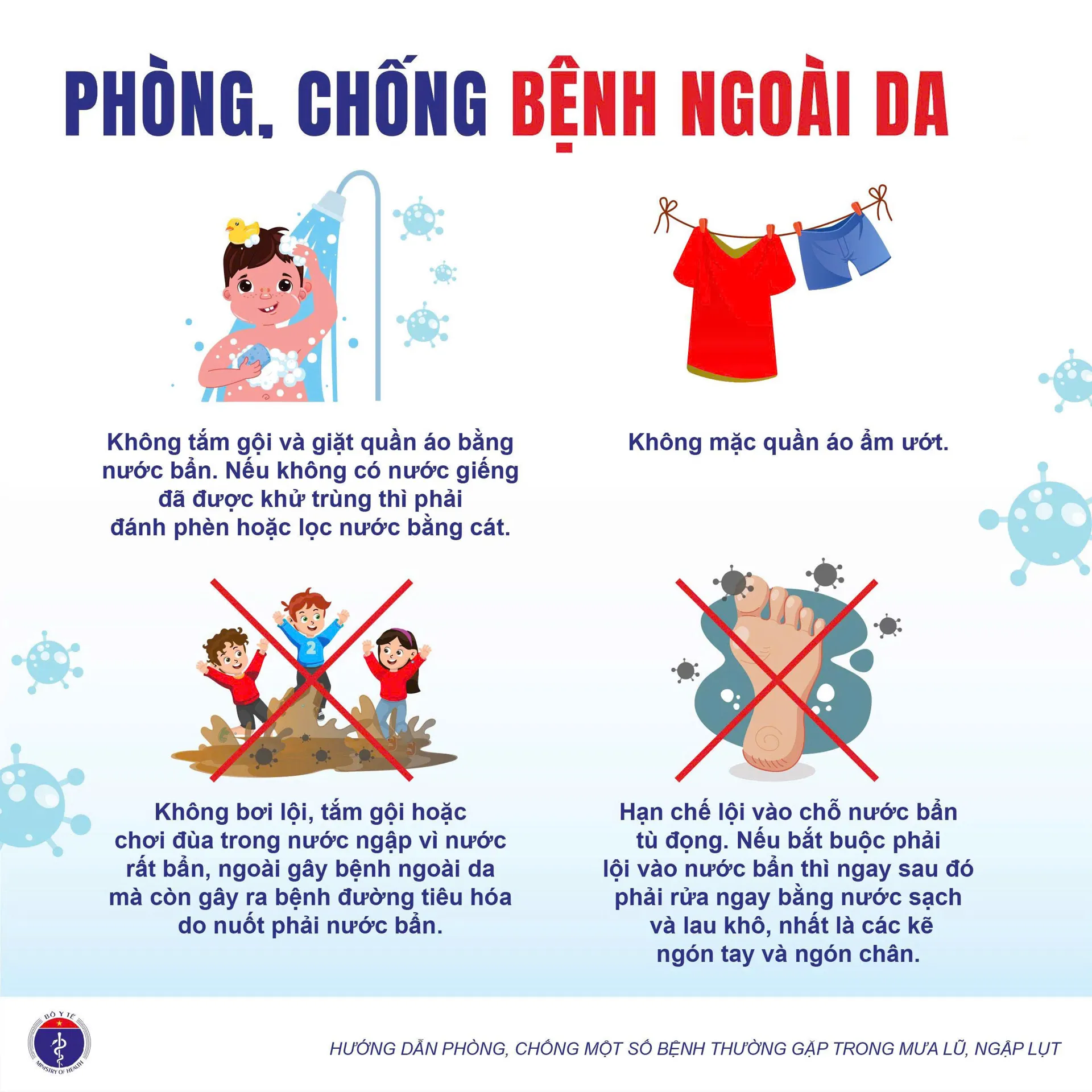 Hình ảnh 4