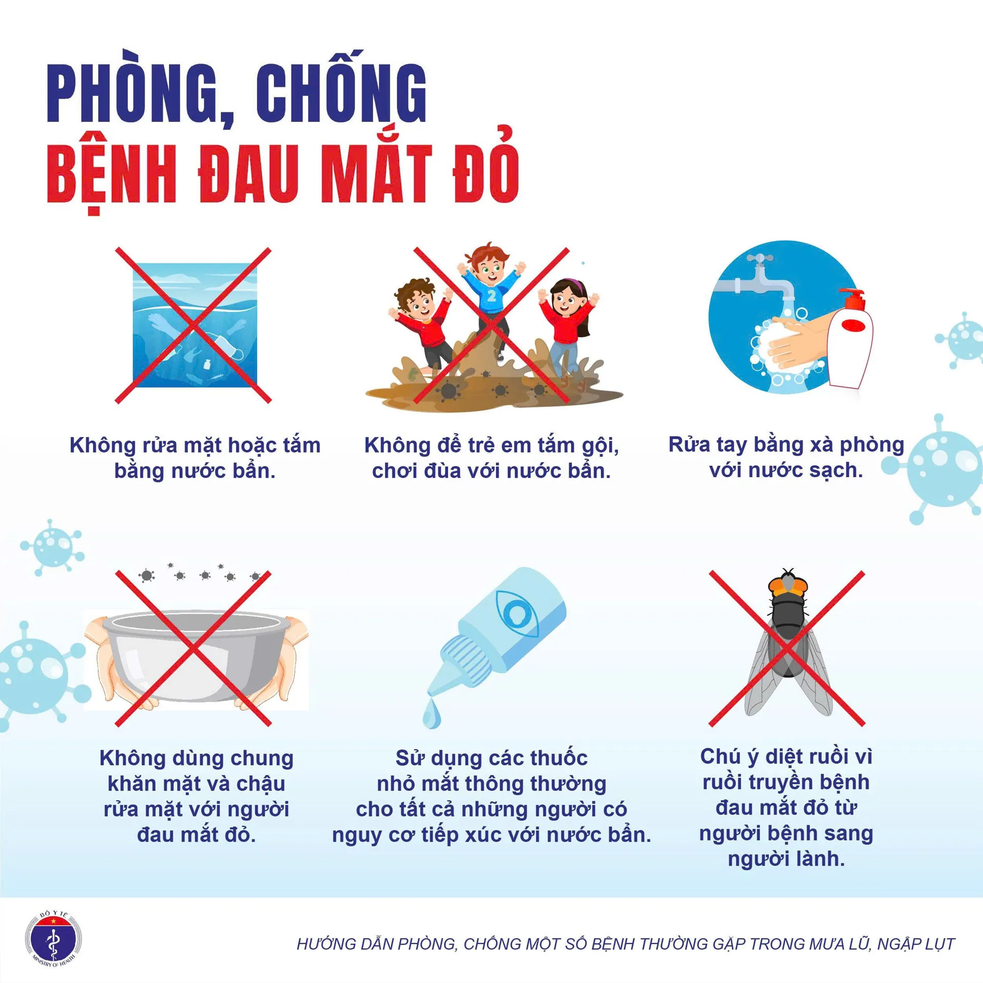 Hình ảnh 5