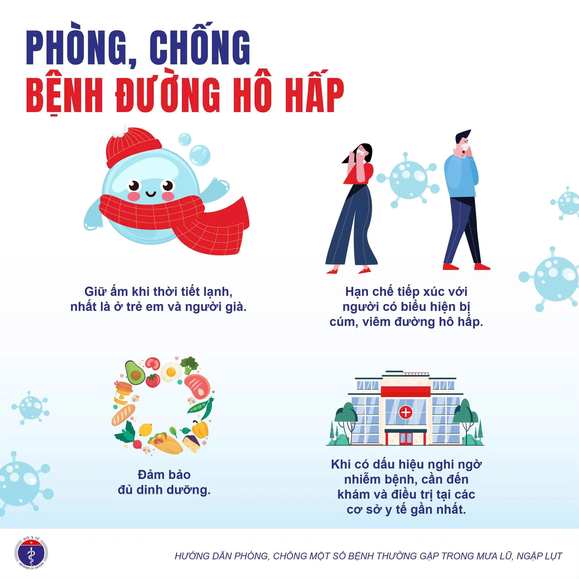 Hình ảnh 6