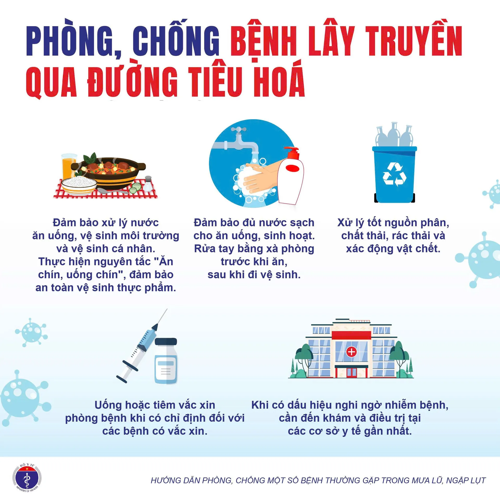 Hình ảnh 7