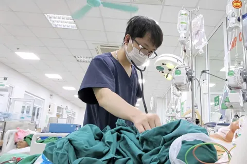 Nhiều ca suy gan, suy thận nặng do nhiễm xoắn khuẩn vàng da sau mưa lũ

