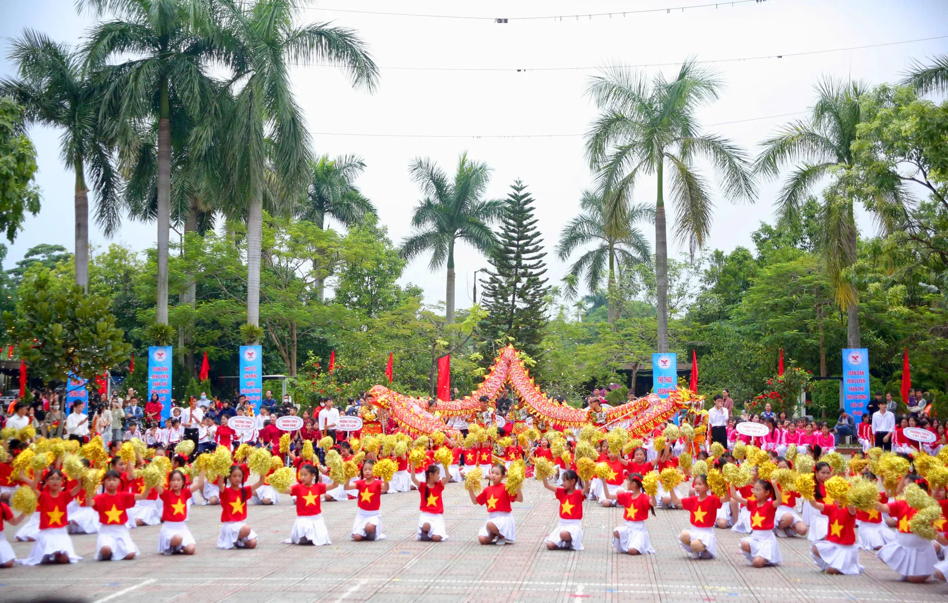Hình ảnh 7