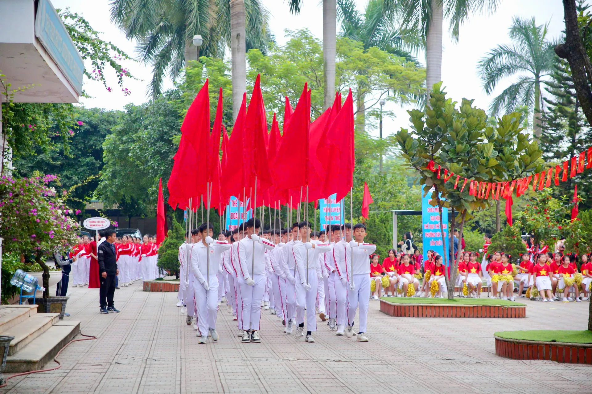 Hình ảnh 6
