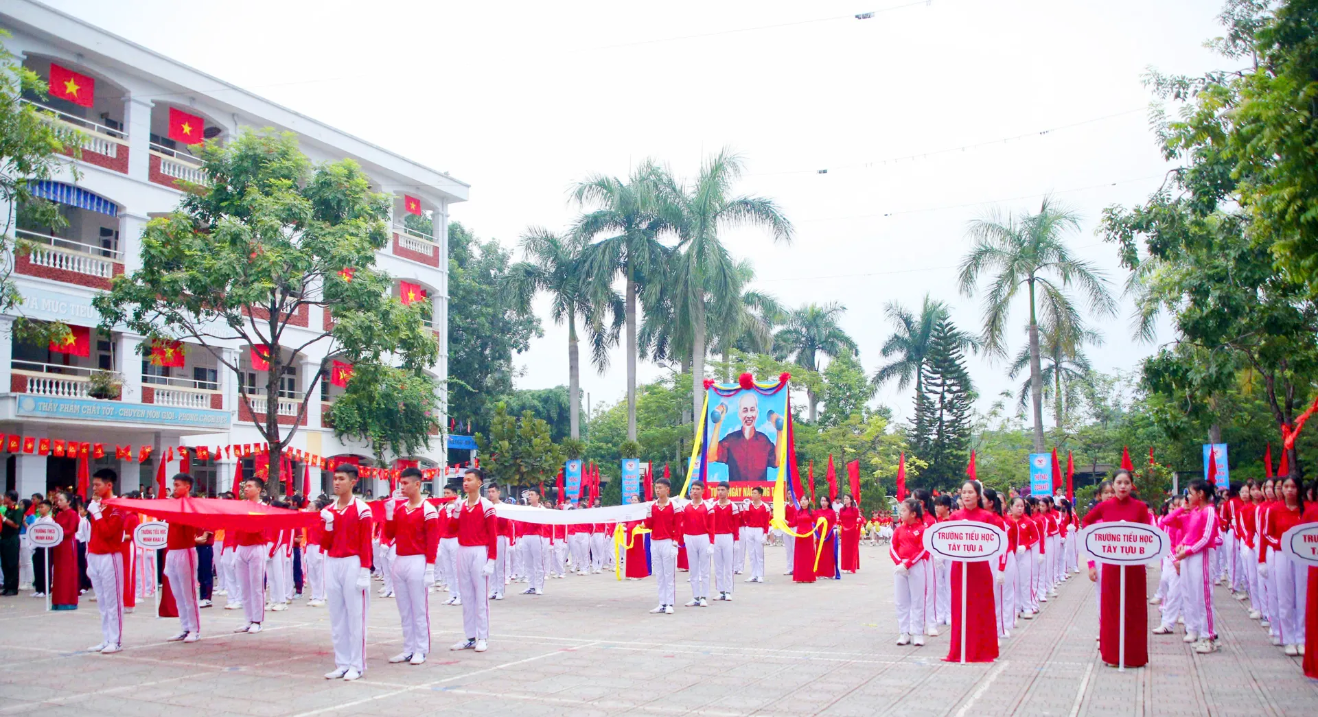 Hình ảnh 5