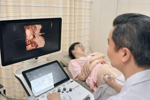 Hỗ trợ giải đáp về chế độ bảo hiểm thai sản