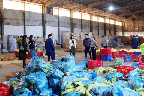 Tổng lực kiểm tra bảo đảm ATTP dịp Tết và Lễ hội Xuân 2026