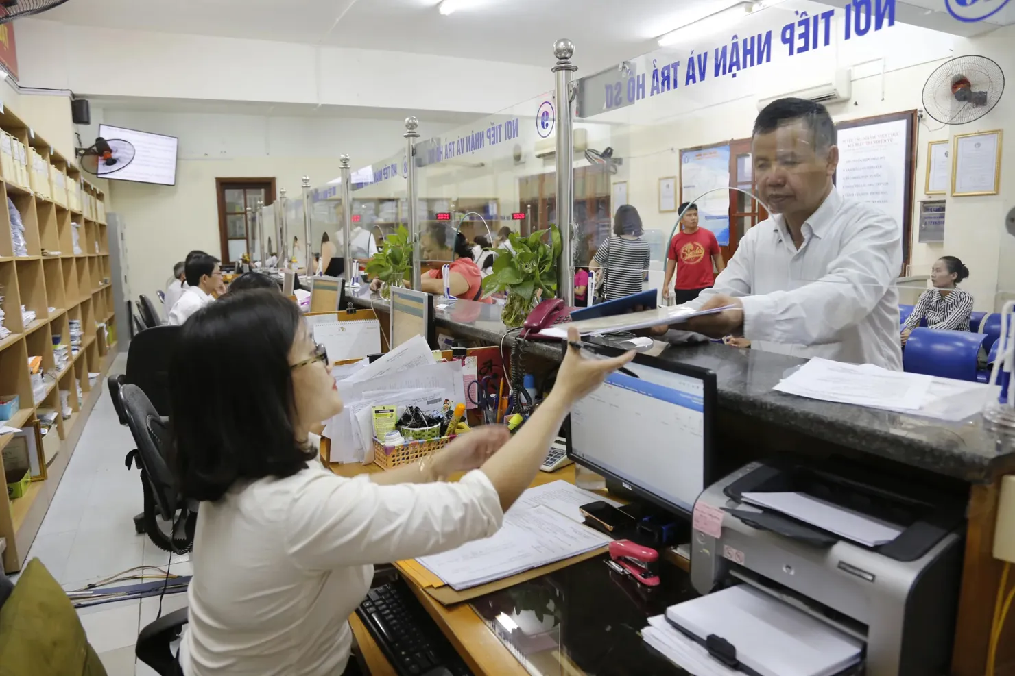Hình ảnh 1