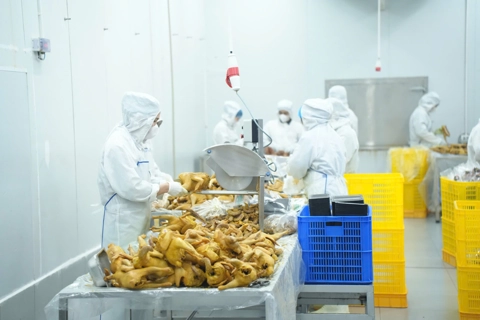 Cục ATTP đề nghị hậu kiểm quảng cáo thực phẩm, thực phẩm chức năng
