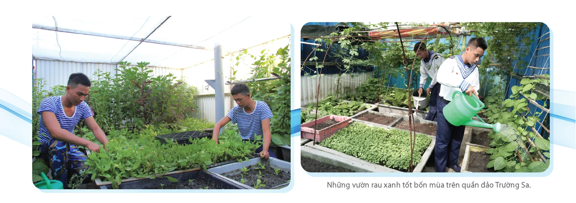 Hình ảnh 8