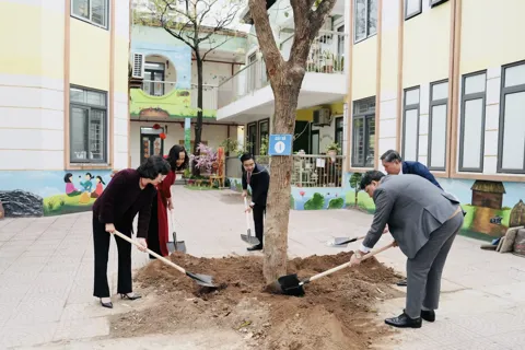 Hà Nội ban hành Chỉ thị về tổ chức Tết trồng cây Xuân Bính Ngọ 2026
