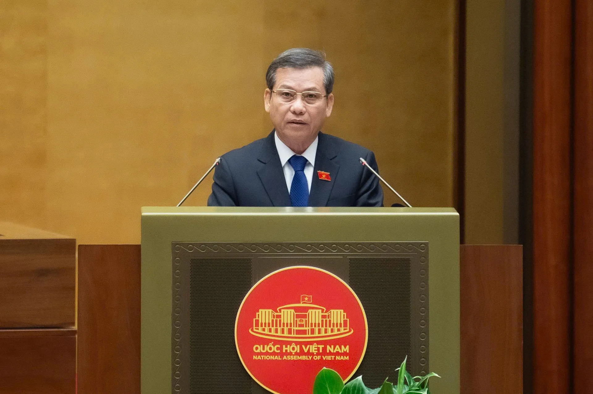 Hình ảnh 2