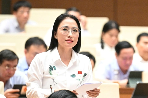 Đại biểu Quốc hội: quy định cụ thể để chọn nhà thầu có tiềm lực tài chính
