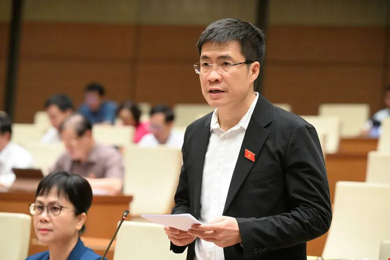 Hình ảnh 2