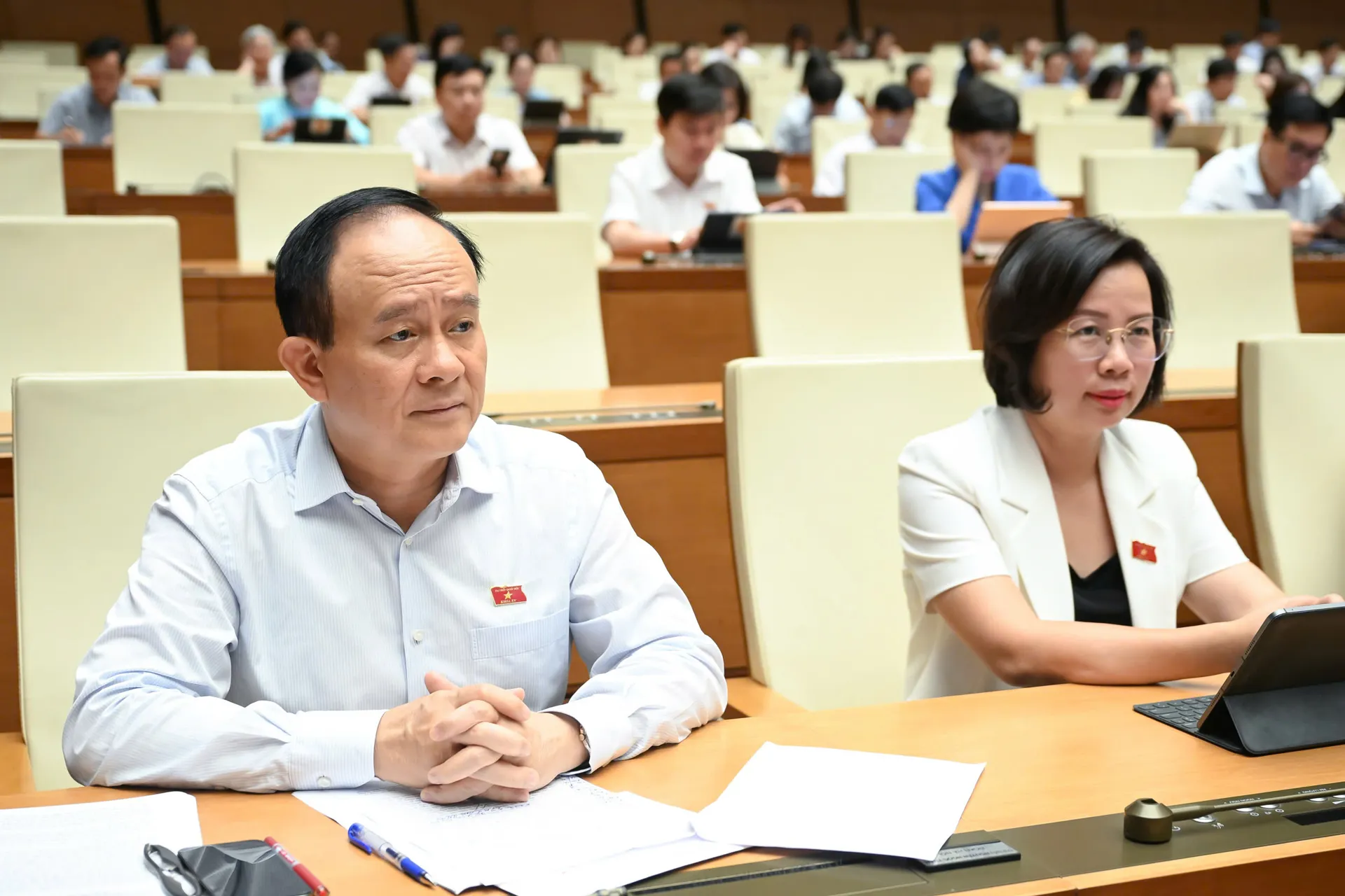 Hình ảnh 2
