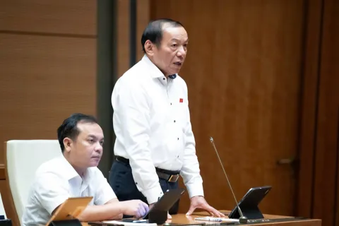 Văn hóa là sức mạnh nội sinh của phát triển bền vững