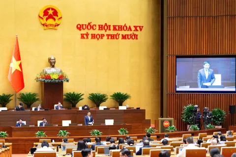 Hoàn thiện Luật Thống kê: Hướng tới dữ liệu chính xác và minh bạch