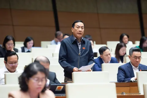 Đại biểu Quốc hội: nghiên cứu lại việc hợp nhất các cơ quan báo chí tự chủ