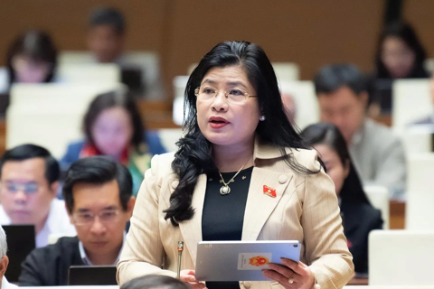 Đại biểu Quốc hội cảnh báo nguy cơ thất thoát tài nguyên và sạt lở