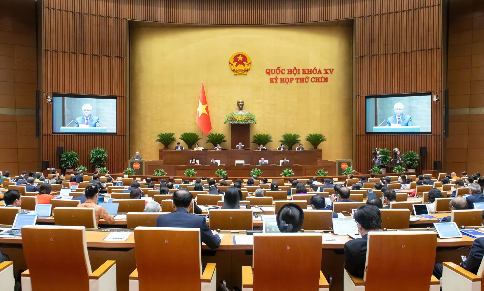 Hình ảnh 1