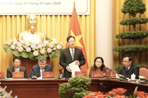 Tố tụng đặc thù cho Tòa án chuyên biệt tại Trung tâm tài chính quốc tế 