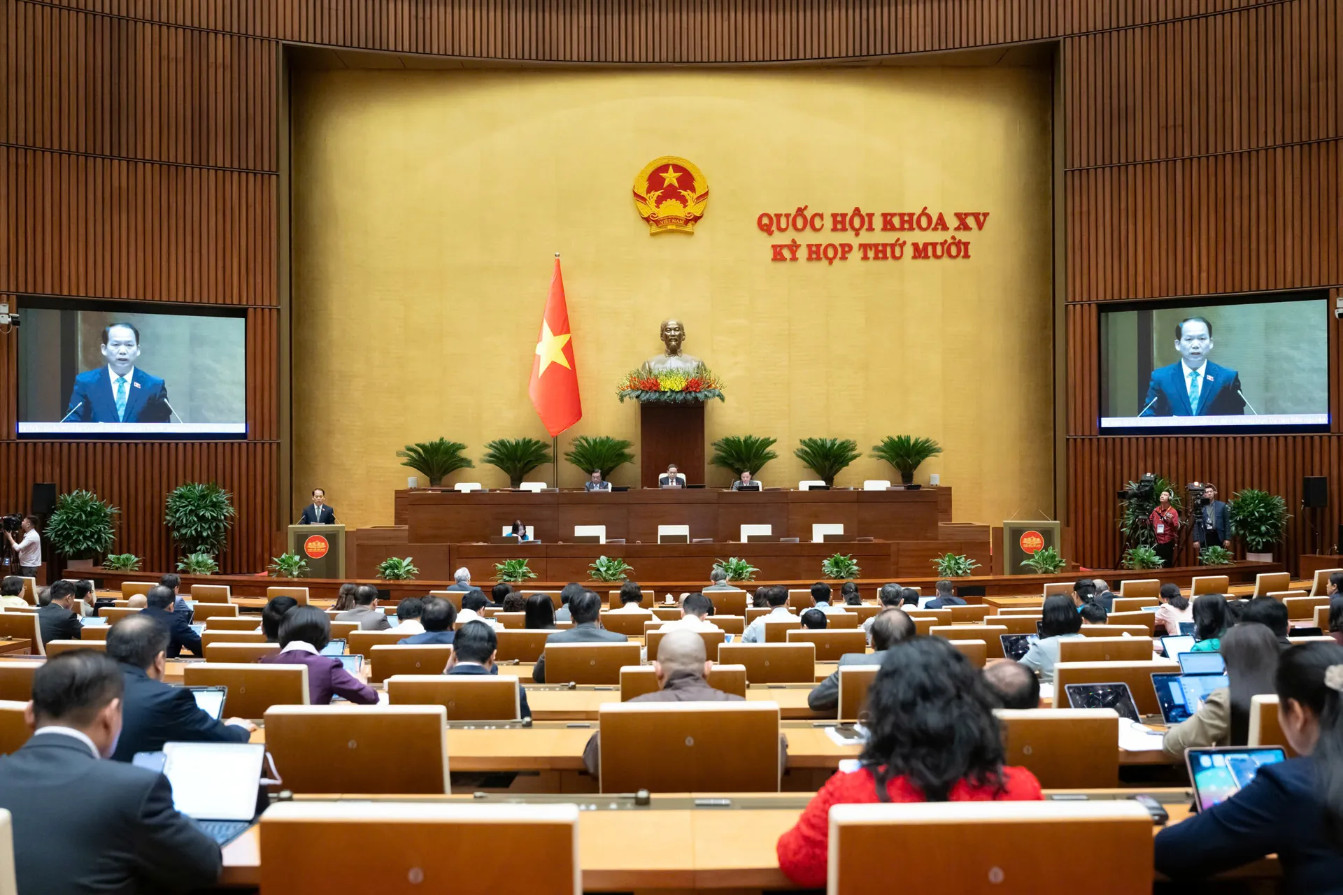 Hình ảnh 4