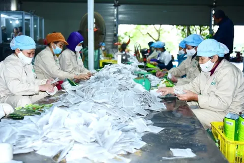 Hà Nội thúc đẩy phát triển kinh tế tập thể, hợp tác xã năm 2026