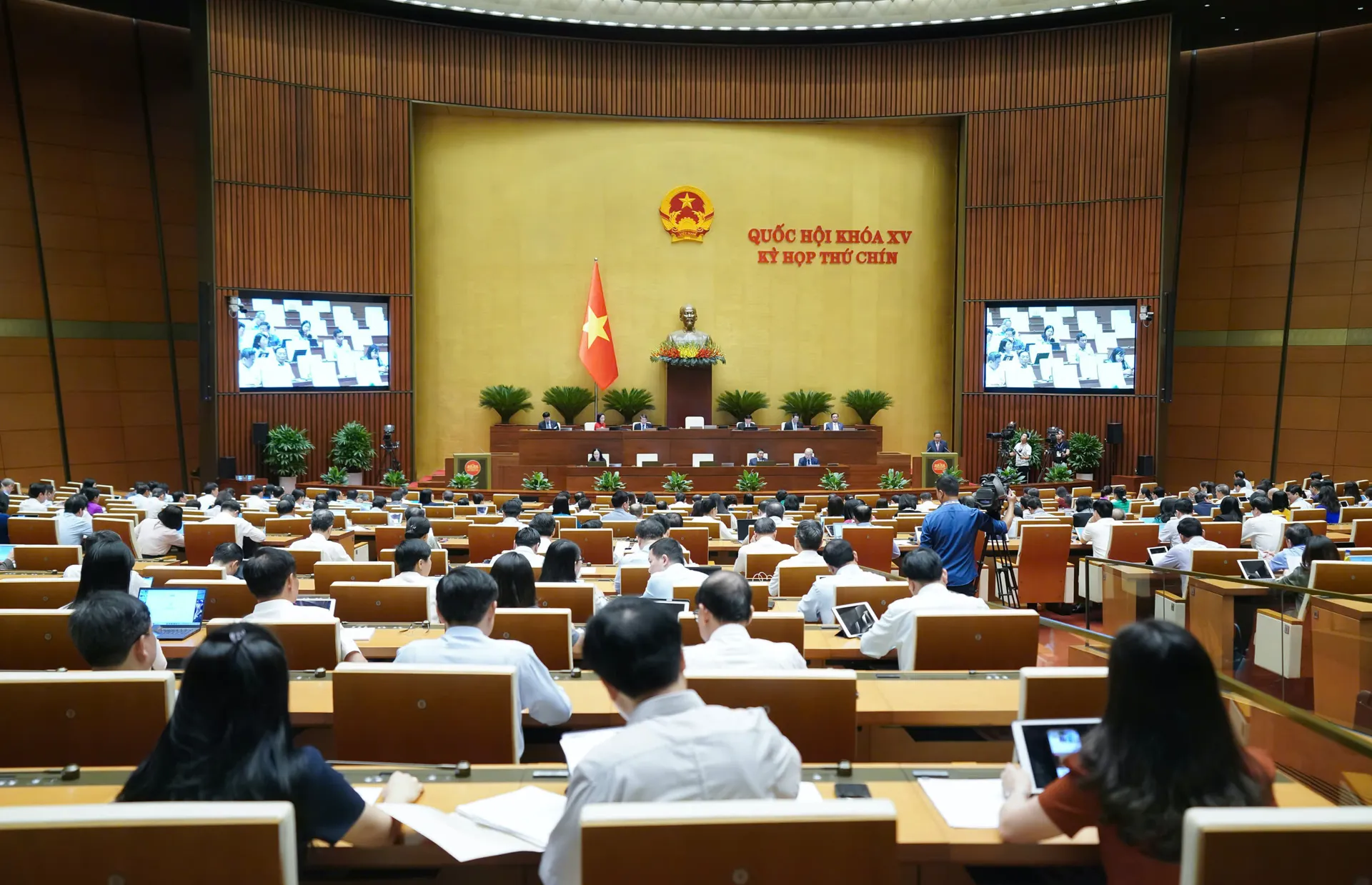 Hình ảnh 3