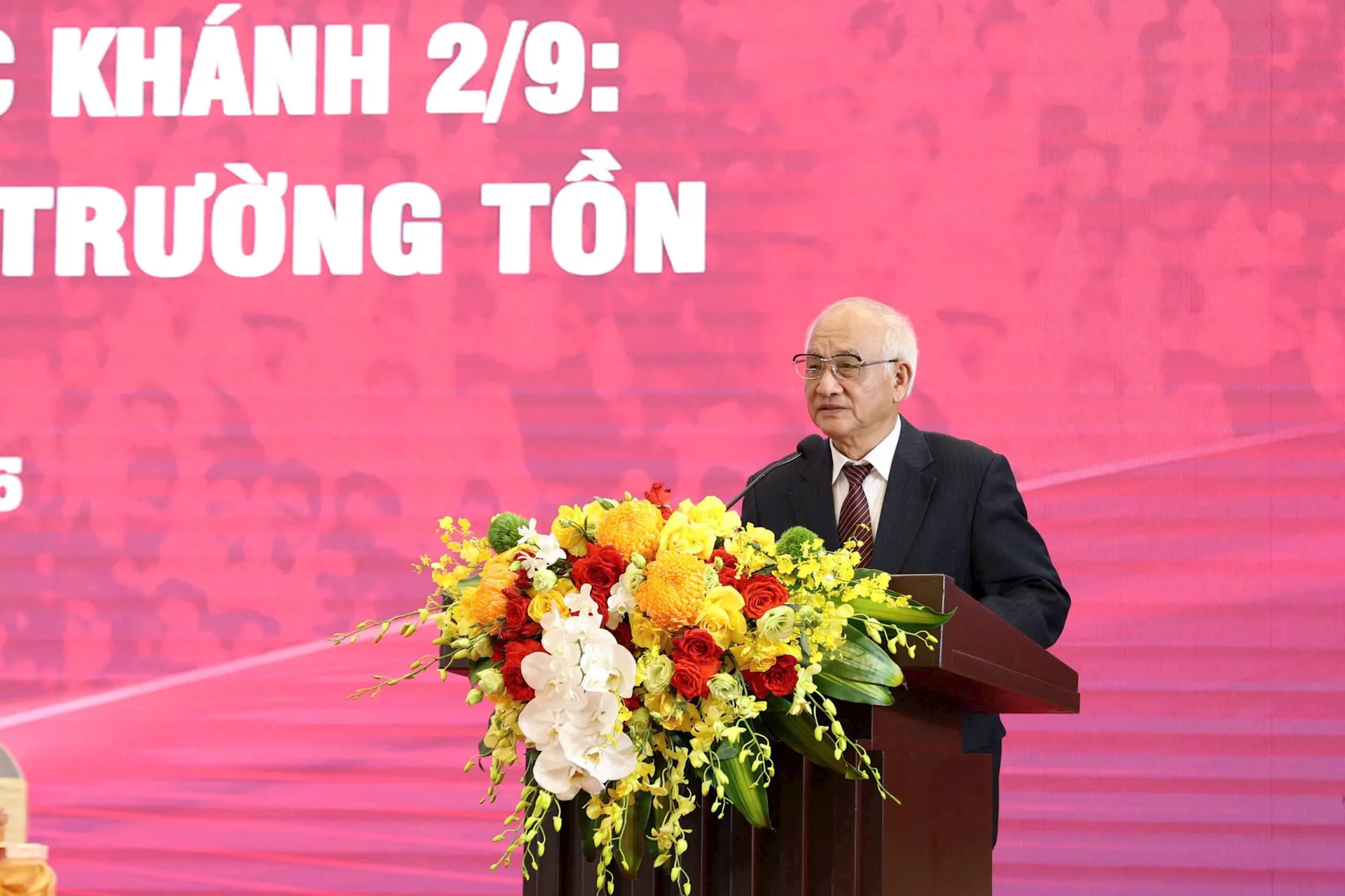Hình ảnh 2