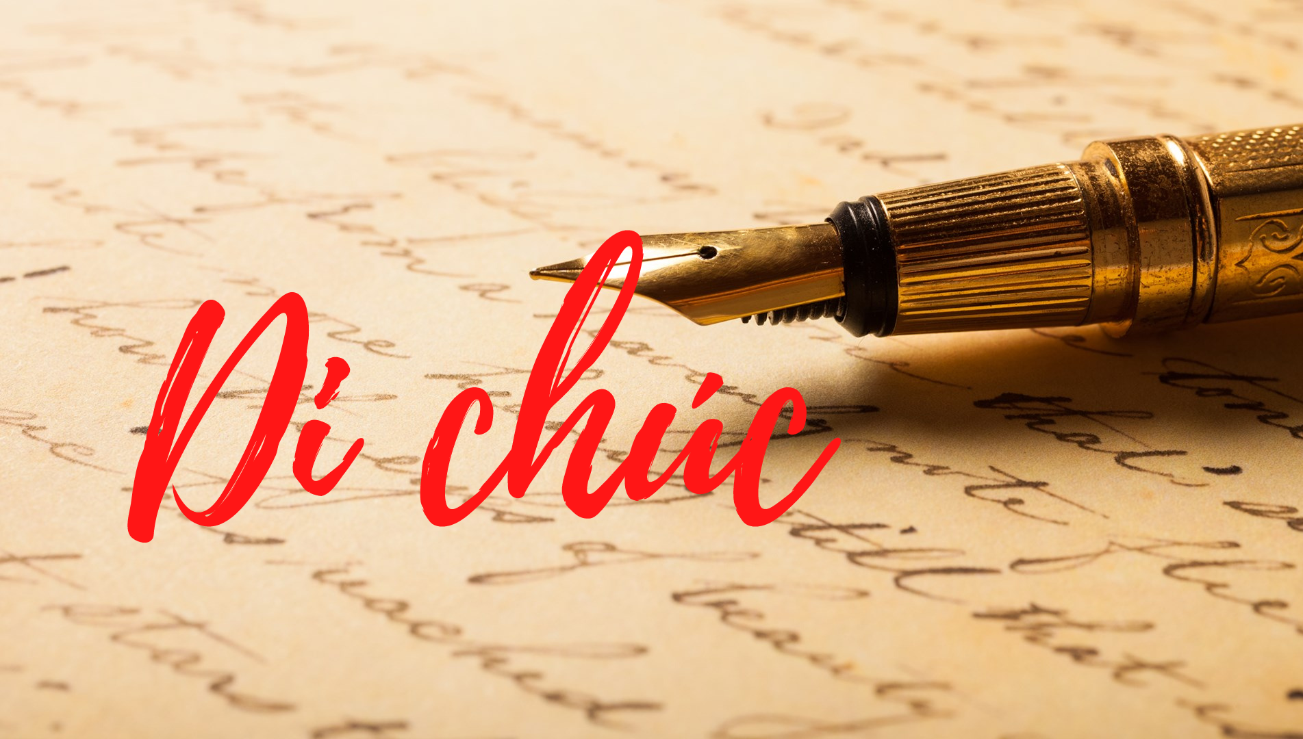 Hình ảnh 1