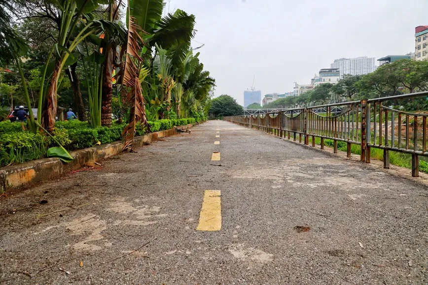 Hình ảnh 1