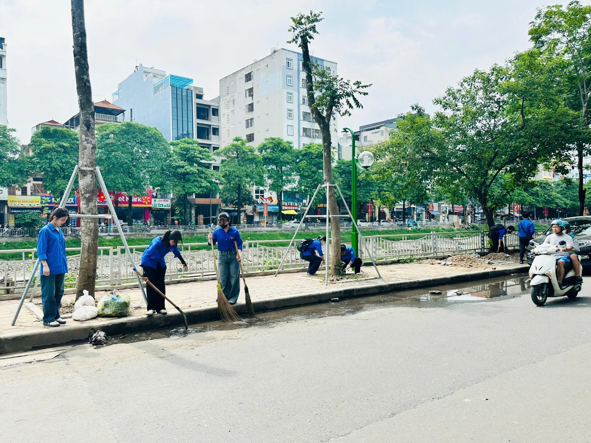Hình ảnh 4