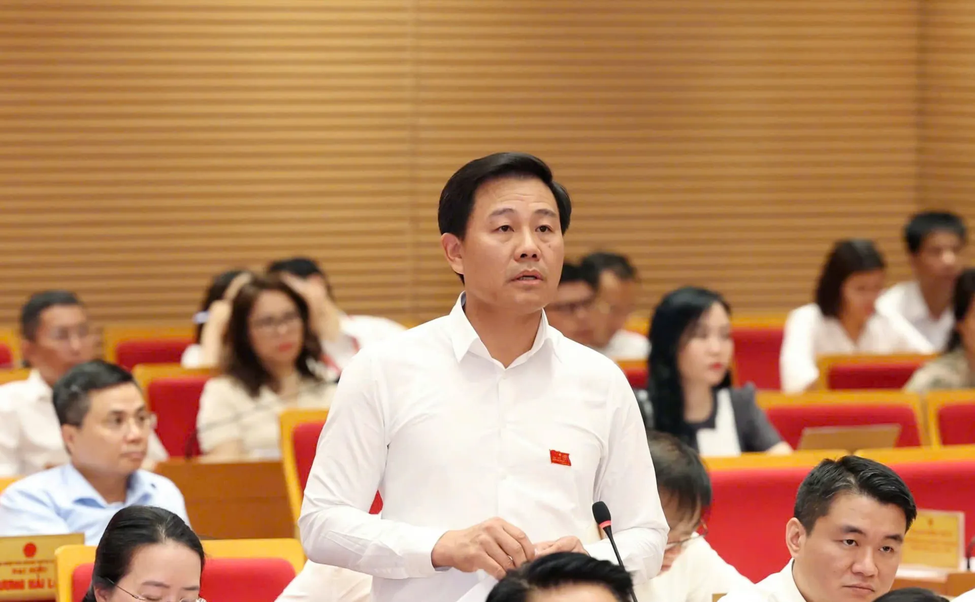 Hình ảnh 2