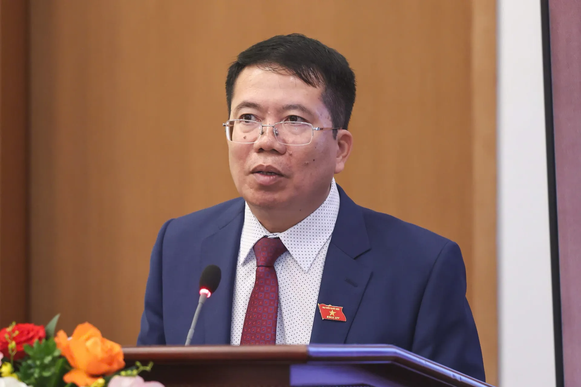 Hình ảnh 2