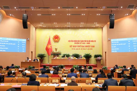 Hà Nội tăng hỗ trợ cho người và cơ sở khắc phục dịch bệnh động vật