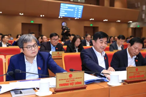 Hà Nội thông qua danh mục đầu tư của Quỹ Đầu tư phát triển thành phố