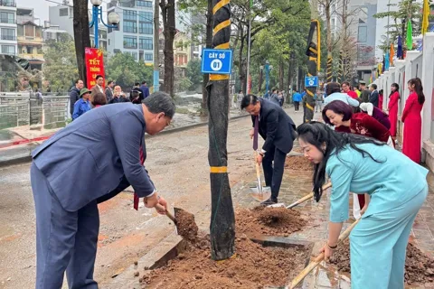 Phường Phương Liệt phát động Tết trồng cây Xuân Bính Ngọ